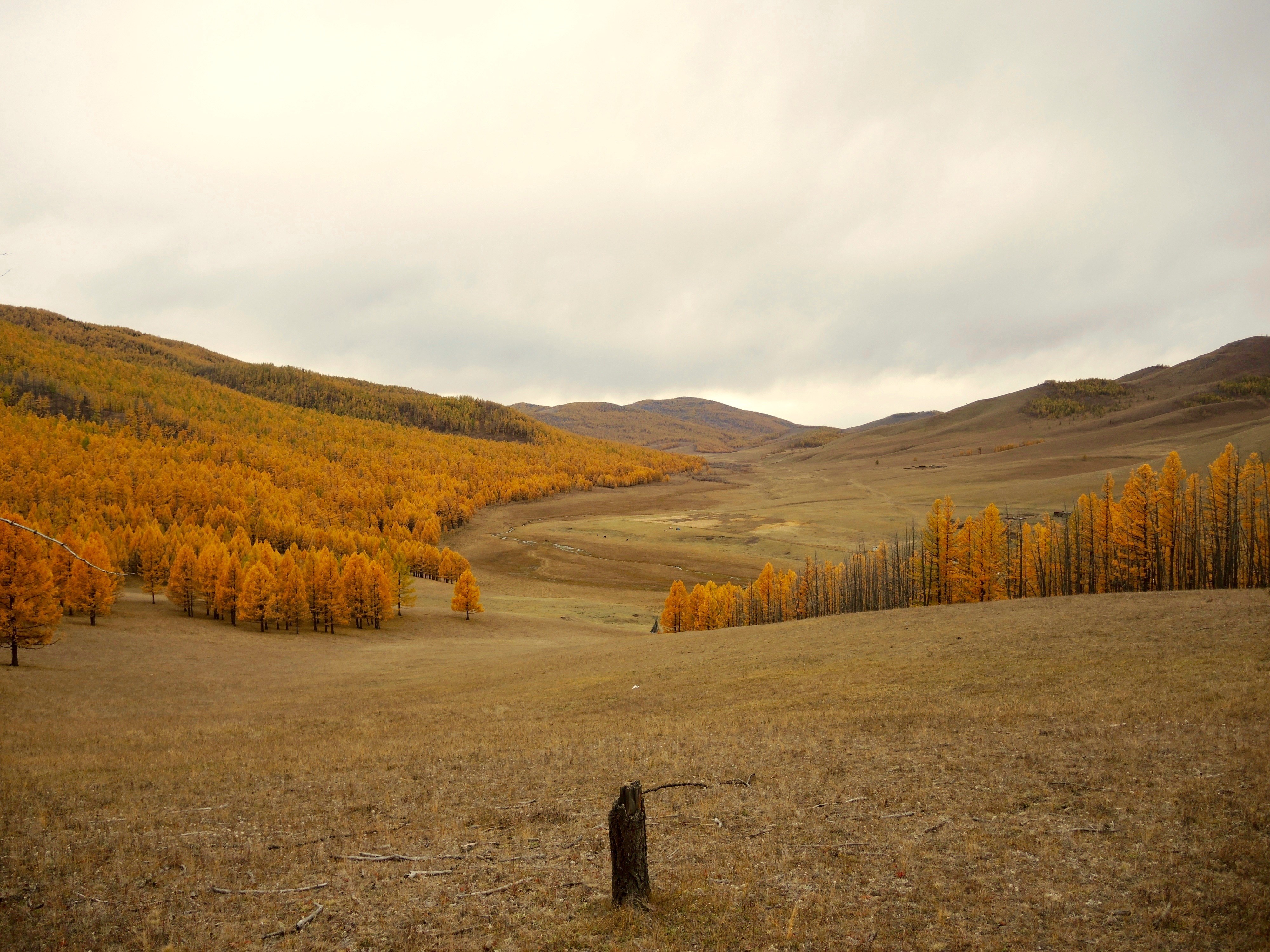 Herfst in Mongolië